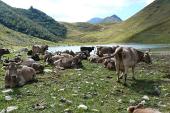 Escursione al Lago Branchino e sul Pizzo Arera l'11 settembre 2010 - fotogallery