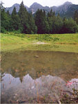 Pian della Palla con vista in Alben (Oltre il Colle) - foto Gabriele Pessarelli