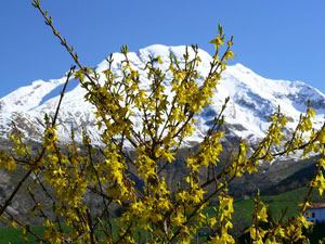 Sforzizia in conca di Oltre il Colle...neve in Arera!