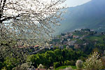 Vista su Zambla Bassa tar i ciliegi in fiore - foto Gabriele Pessarelli aprile 2007
