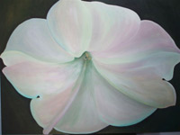 Petunia - Dipinto di Rita Gherardi