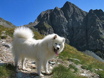 Salita dal Rifugio Longo al Passo di Cigola e al Monte Aga (2720 m.) il 6 settembre 2009 - FOTOGALLERY