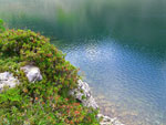 Splendidi colori al lago alto di Porcile - foto Sergio Salvetti 8 luglio 07