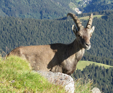 Ornica P.zo di Giacomo Torrione di S. Giacomo P.zo Giarolo P.zo Paradiso P.zo Tre Signori il 20 luiglio 2011 - FOTOGALLERY