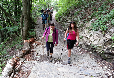 21 giugno 2015 - MONTE BOLLETTONE DALL’ALPE DEL VICERE’ - FOTOGALLERY