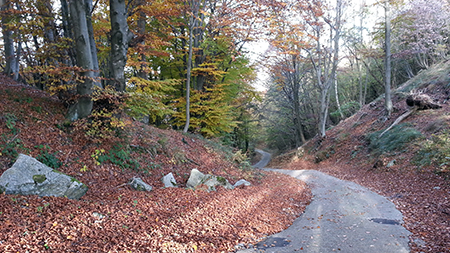 Rifugio SEV ai Corni di Canzo – Domenica 25 ottobre 2015   - FOTOGALLERY