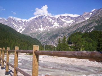 Bella escursione boschiva ai piedi del Monte Rosa in Val Quarazza, il 4 luglio 2010 - FOTOGALLERY