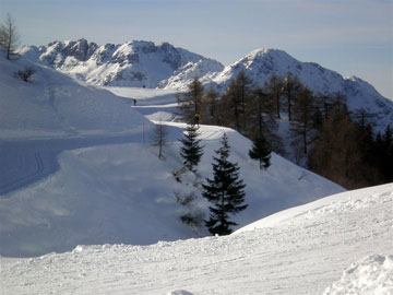 PASSEGGIATA - CIASPOLATA - SCIATA AI PIANI DELL'AVARO NELLA SOLEGGIATA DOMENICA DEL 24 GENNAIO 2010 - FOTOGALLERY