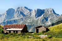 L'Arera e la Corna Piana dal sentiero 216 (Rif. Alpe Corte - Passo Laghj Gemelli) - 14 luglio 07