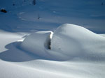 Sulle nevi  del Passo Dordona (Foppolo) - foto Vittorio Begnis 19 dicembre 2002