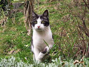 Luna, guarda chi c'è? CHARLIE!