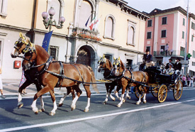 Carrozze di epoca sfilano davanti al Municipio - (foto Andreato)