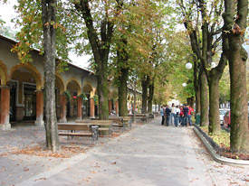 Il Viale Alberato in veste autunnale - (foto Piero Gritti)
