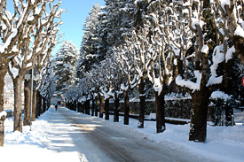 Viale Bortolo Belotti innevato - (foto Anna Patti)