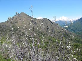 Il Monte Gioco dalla Crus di Coregn