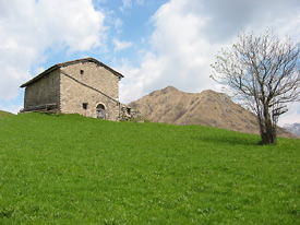 Stalla con 'sorbolo dell'uccellatore' (malösen)