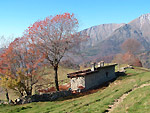 VEDI IN GRANDE - Stalla ristrutturata ad uso abitazione sui pascoli di Zambla Alta