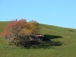 VEDI IN GRANDE - Cascina in abbandono sui pascoli di Zambla Alta