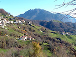 VEDI IN GRANDE - Dossena , sullo sfondo l'Alben