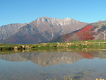 VEDI IN GRANDE - Sui pascoli di Zambla Alta nella bella pozza si specchia il Monte Menna