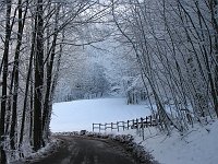 L'improvvisa bella nevicata di marzo... a Sant'Antonio Abbandonato e Catremerio - FOTOGALLERY